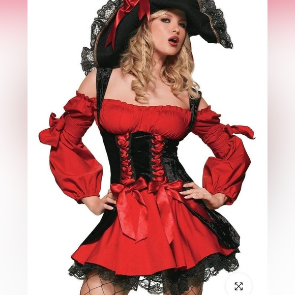 Like New Pirate Vixen Costume Boo*ndle 2pc w/Bonus Leg Avenue FenceNets Hosiery - Picture 1 of 9